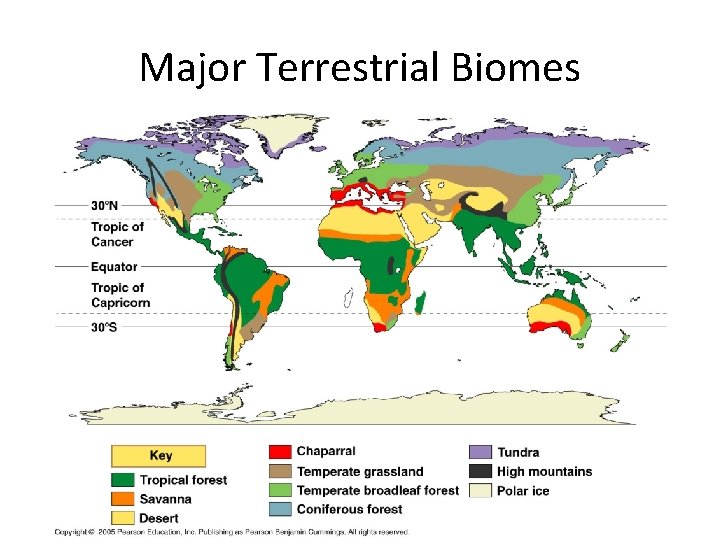 Major Terrestrial Biomes 