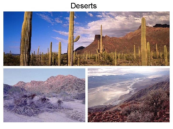 Deserts 