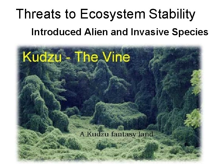 Threats to Ecosystem Stability Introduced Alien and Invasive Species 