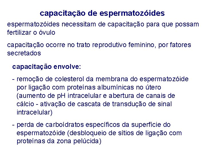 capacitação de espermatozóides necessitam de capacitação para que possam fertilizar o óvulo capacitação ocorre