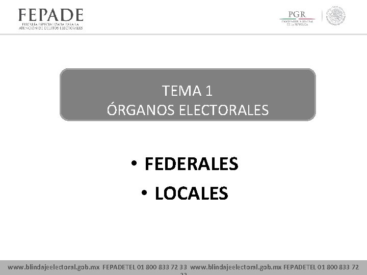 TEMA 1 ÓRGANOS ELECTORALES • FEDERALES • LOCALES www. blindajeelectoral. gob. mx FEPADETEL 01