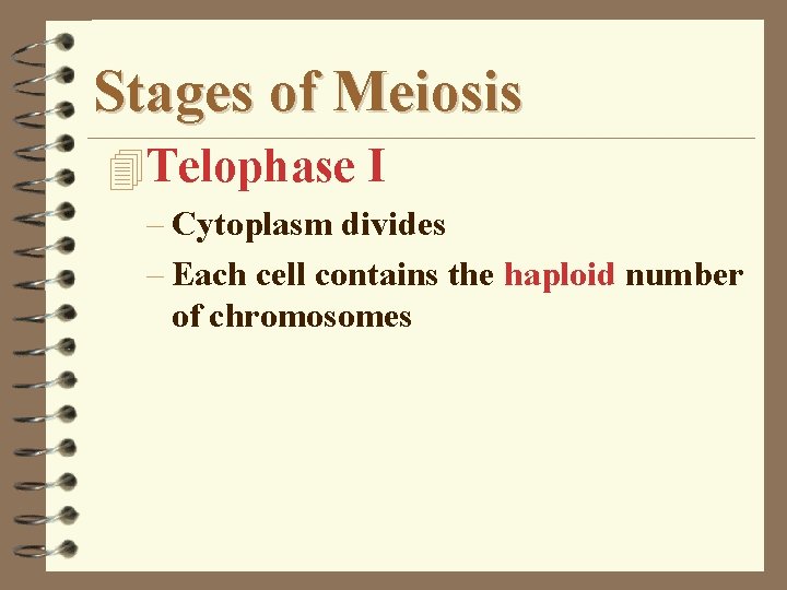 Stages of Meiosis 4 Telophase I – Cytoplasm divides – Each cell contains the