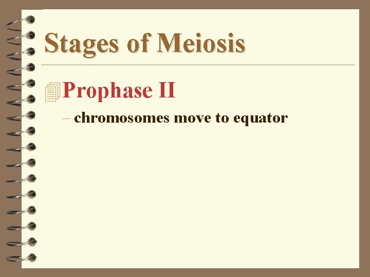Stages of Meiosis 4 Prophase II – chromosomes move to equator 