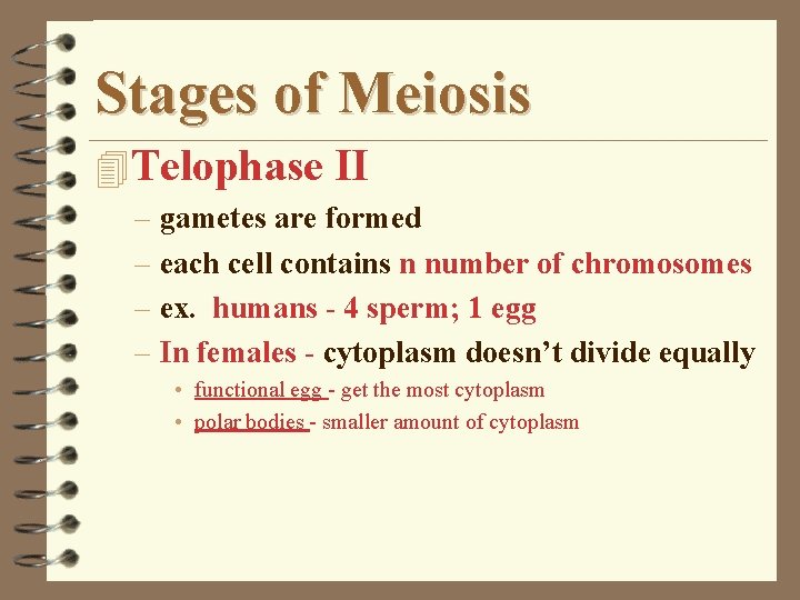 Stages of Meiosis 4 Telophase II – gametes are formed – each cell contains