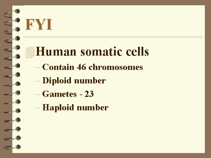 FYI 4 Human somatic cells – Contain 46 chromosomes – Diploid number – Gametes