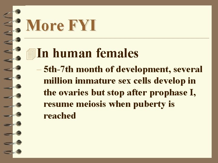 More FYI 4 In human females – 5 th-7 th month of development, several