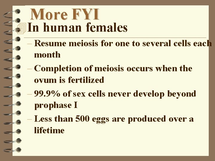 More FYI 4 In human females – Resume meiosis for one to several cells