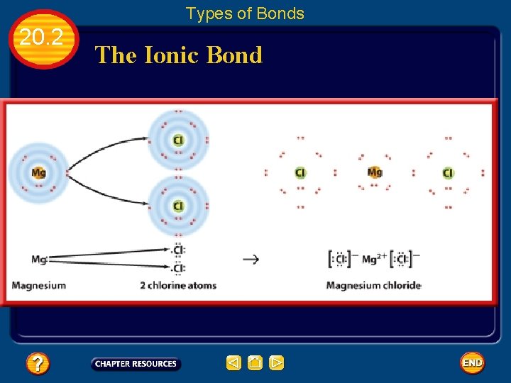 Types of Bonds 20. 2 The Ionic Bond 