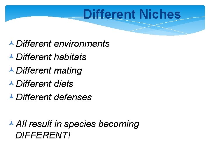 Different Niches ©Different environments ©Different habitats ©Different mating ©Different diets ©Different defenses ©All result