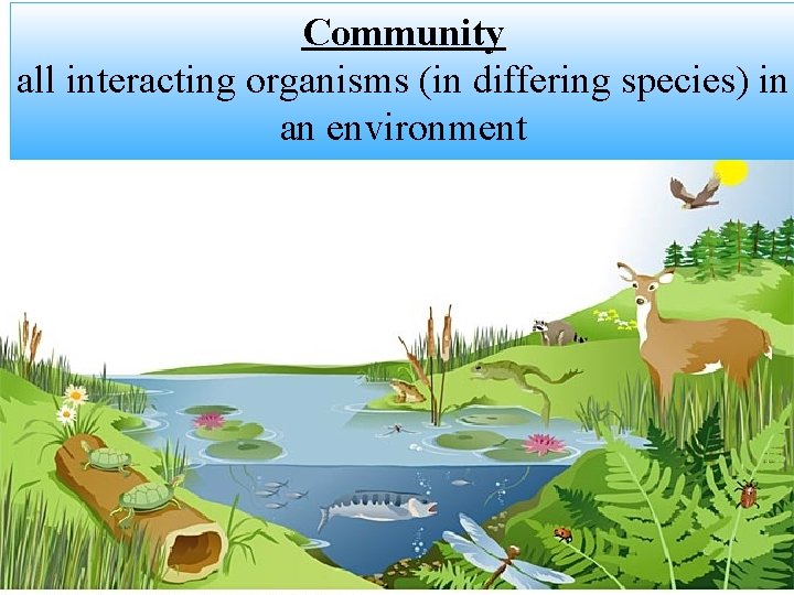 Community all interacting organisms (in differing species) in an environment 