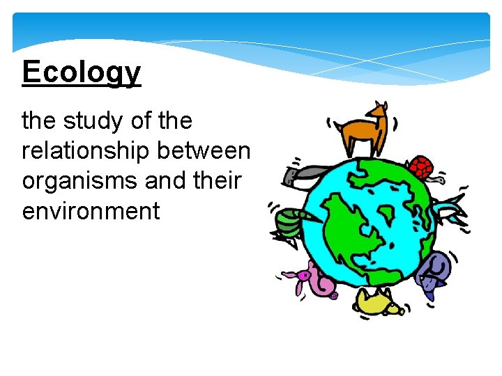 Ecology the study of the relationship between organisms and their environment 
