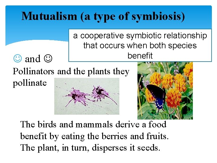 Mutualism (a type of symbiosis) and a cooperative symbiotic relationship that occurs when both