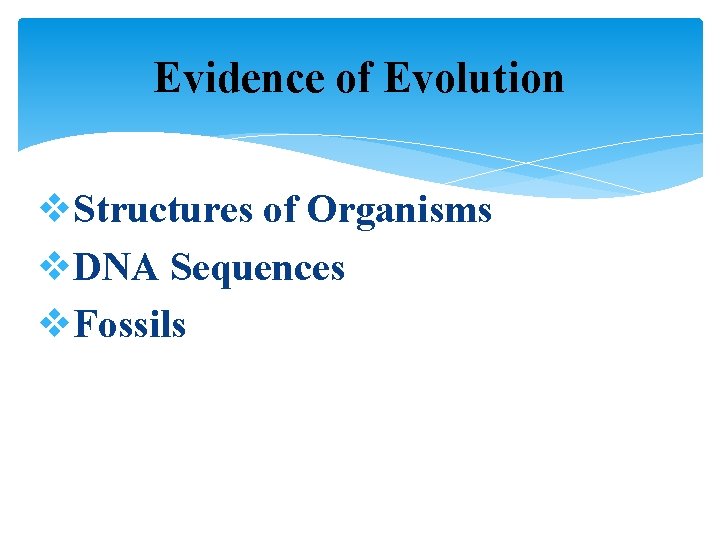 Evidence of Evolution v. Structures of Organisms v. DNA Sequences v. Fossils 
