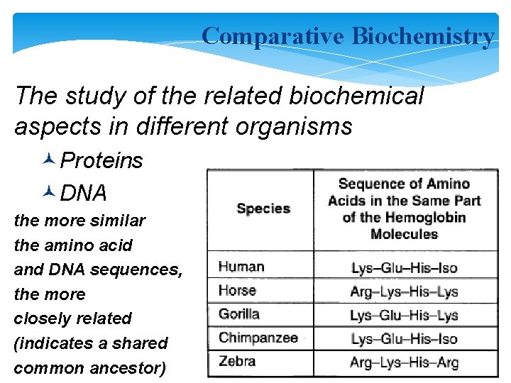 Comparative Biochemistry The study of the related biochemical aspects in different organisms ©Proteins ©DNA