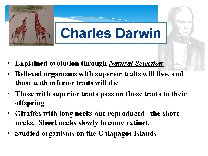 Charles Darwin • Explained evolution through Natural Selection • Believed organisms with superior traits