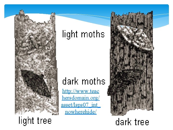 http: //www. teac hersdomain. org/ asset/lsps 07_int_ nowherehide/ 
