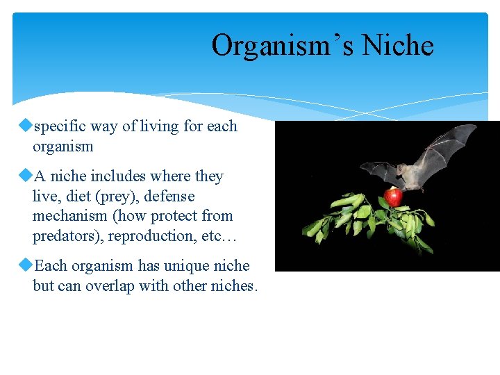 Organism’s Niche uspecific way of living for each organism u. A niche includes where
