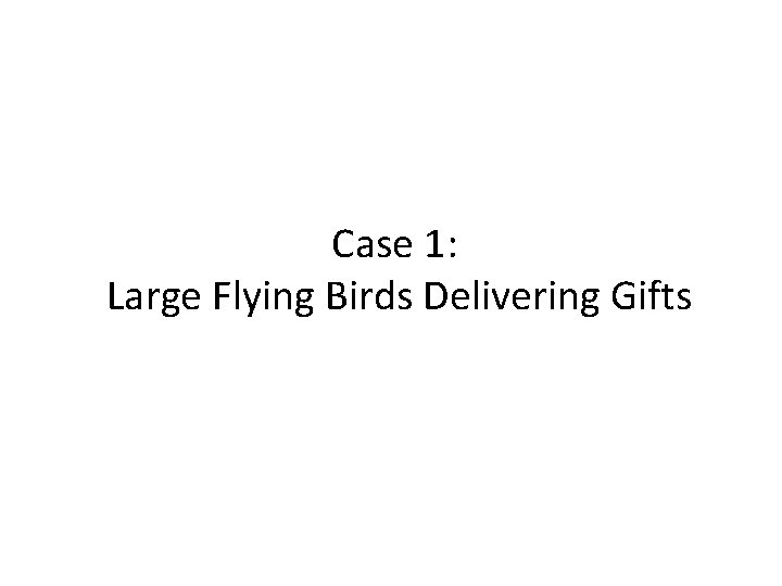 Case 1: Large Flying Birds Delivering Gifts 