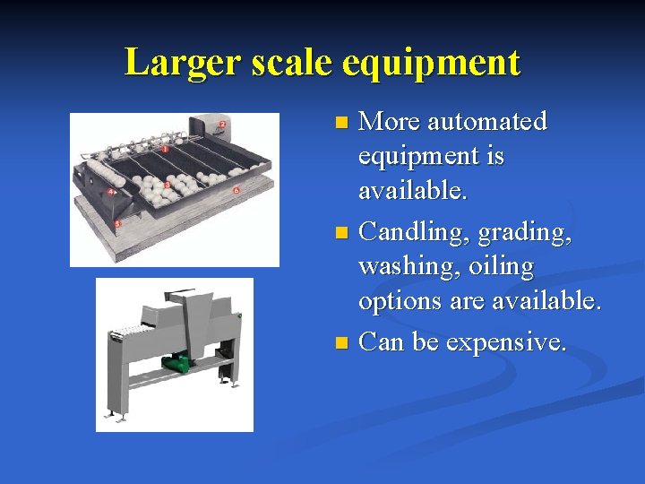 Larger scale equipment More automated equipment is available. n Candling, grading, washing, oiling options