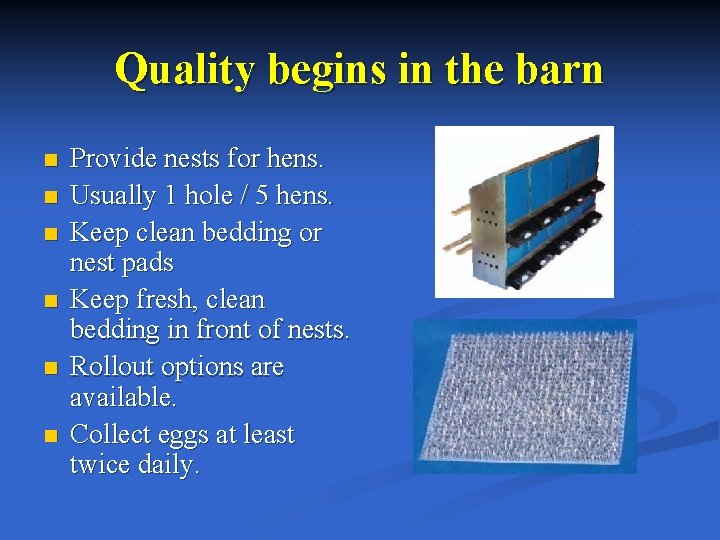 Quality begins in the barn n n n Provide nests for hens. Usually 1