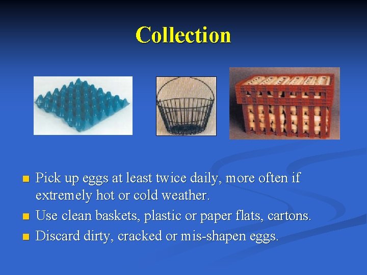 Collection n Pick up eggs at least twice daily, more often if extremely hot