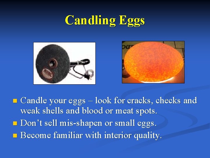 Candling Eggs Candle your eggs – look for cracks, checks and weak shells and