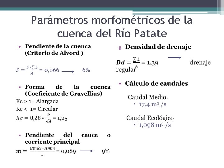 Parámetros morfométricos de la cuenca del Río Patate • • 