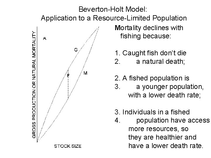 Beverton-Holt Model: Application to a Resource-Limited Population Mortality declines with fishing because: 1. Caught