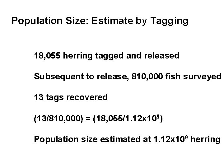 Population Size: Estimate by Tagging 18, 055 herring tagged and released Subsequent to release,