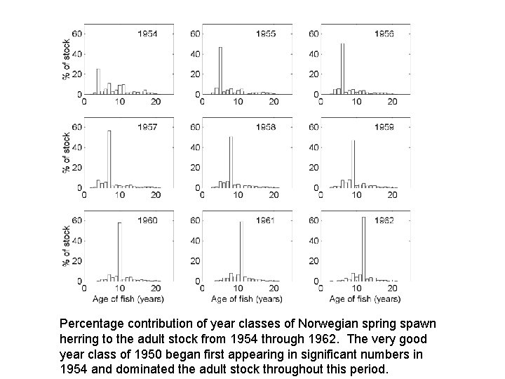 Percentage contribution of year classes of Norwegian spring spawn herring to the adult stock