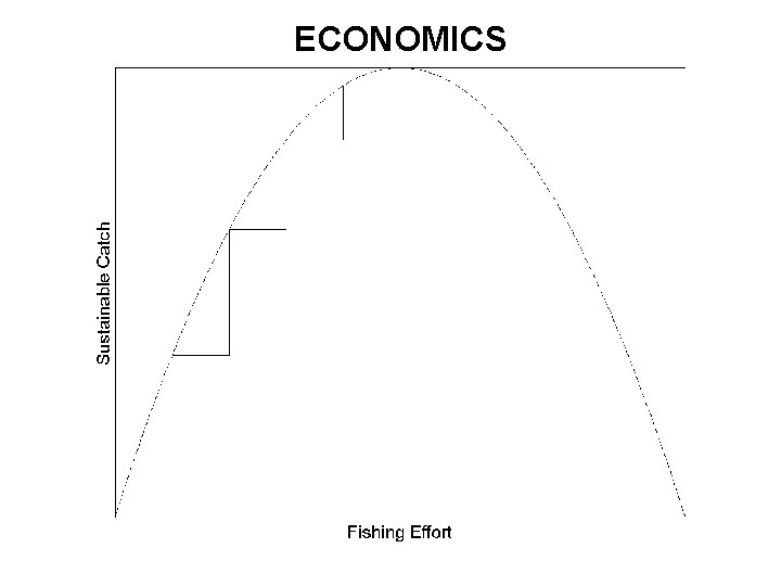 ECONOMICS 