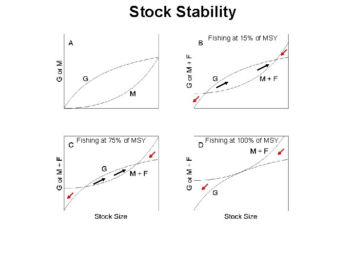 Stock Stability Fishing at 15% of MSY Fishing at 75% of MSY Fishing at