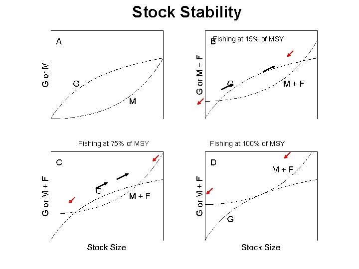 Stock Stability Fishing at 15% of MSY Fishing at 75% of MSY Fishing at