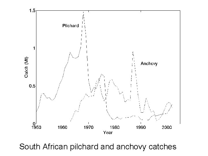 South African pilchard anchovy catches 
