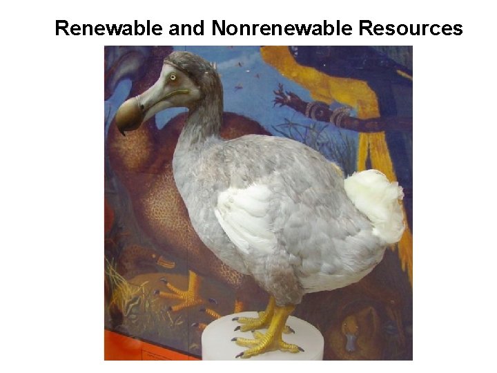 Renewable and Nonrenewable Resources 