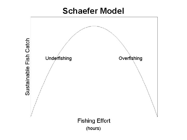 Schaefer Model Underfishing Overfishing (hours) 