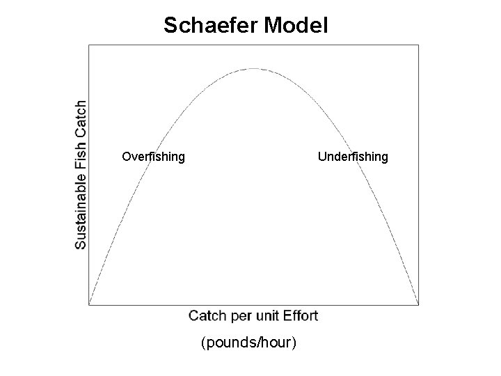 Schaefer Model Overfishing Underfishing (pounds/hour) 