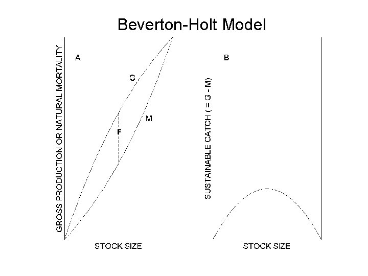 Beverton-Holt Model F 
