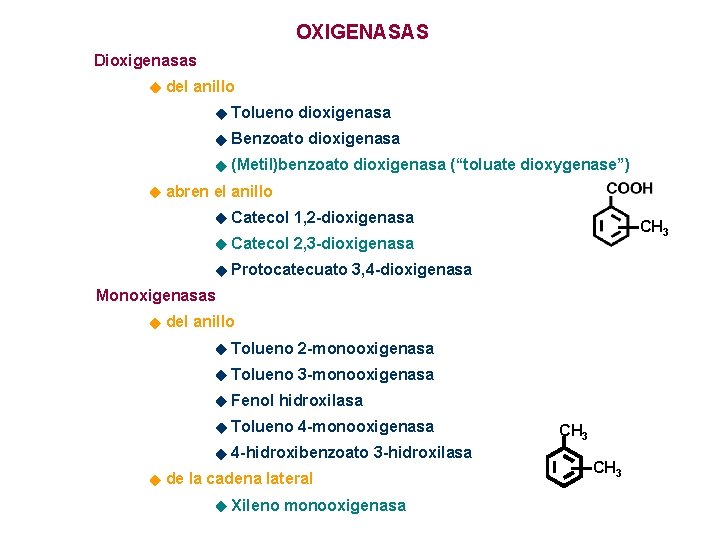 OXIGENASAS Dioxigenasas del anillo Tolueno dioxigenasa Benzoato dioxigenasa (Metil)benzoato dioxigenasa (“toluate dioxygenase”) abren el