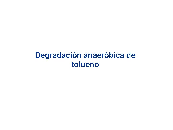 Degradación anaeróbica de tolueno 