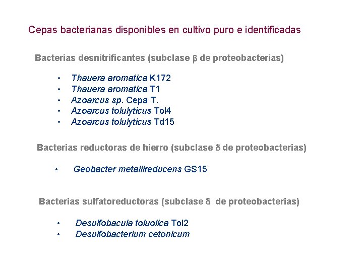 Cepas bacterianas disponibles en cultivo puro e identificadas Bacterias desnitrificantes (subclase de proteobacterias) •