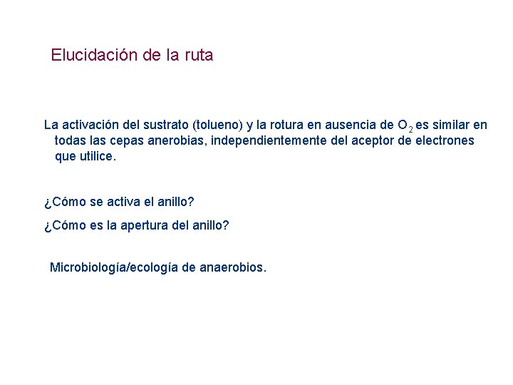 Elucidación de la ruta La activación del sustrato (tolueno) y la rotura en ausencia