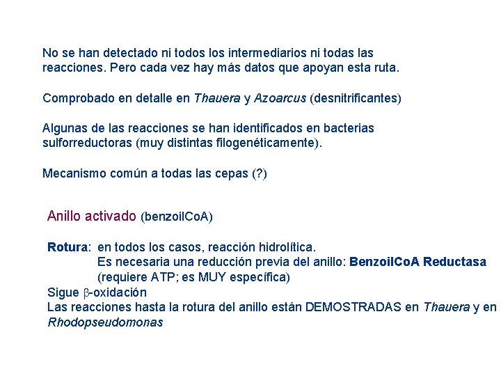 No se han detectado ni todos los intermediarios ni todas las reacciones. Pero cada