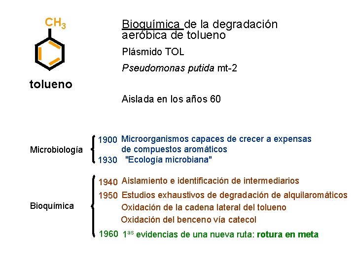 CH 3 Bioquímica de la degradación aeróbica de tolueno Plásmido TOL Pseudomonas putida mt-2