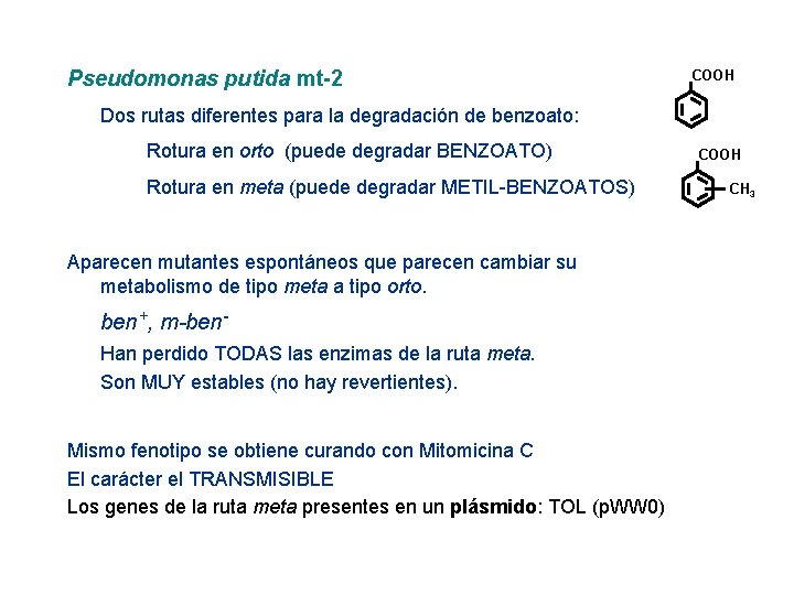 Pseudomonas putida mt-2 COOH Dos rutas diferentes para la degradación de benzoato: Rotura en