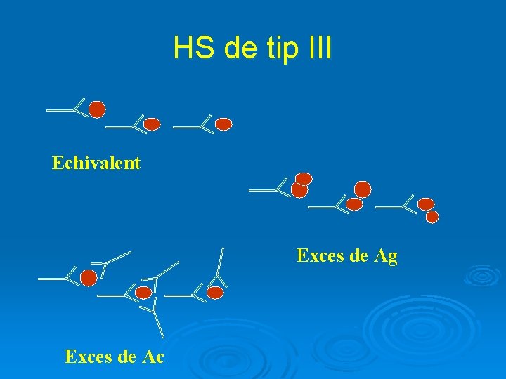 HS de tip III Echivalent Exces de Ag Exces de Ac 