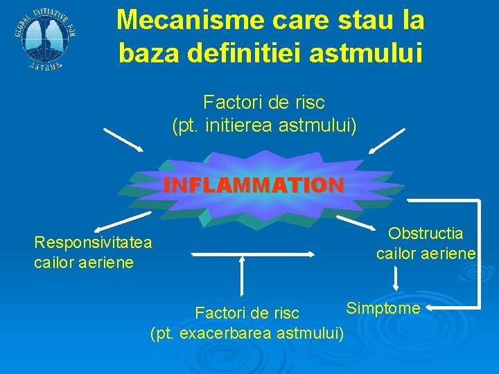 Mecanisme care stau la baza definitiei astmului Factori de risc (pt. initierea astmului) INFLAMMATION