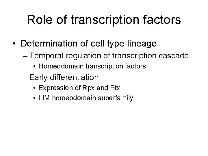 Role of transcription factors • Determination of cell type lineage – Temporal regulation of