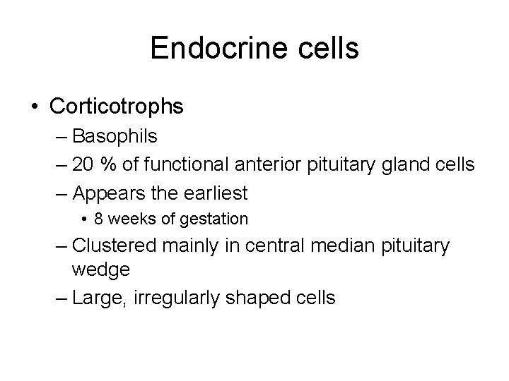 Endocrine cells • Corticotrophs – Basophils – 20 % of functional anterior pituitary gland