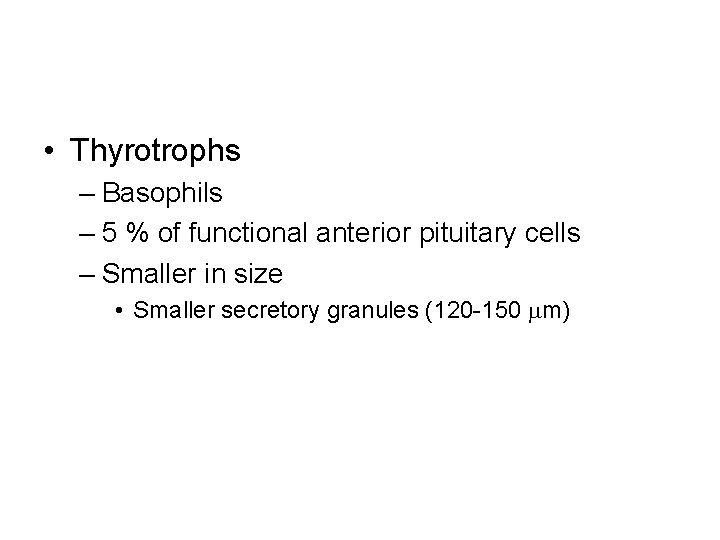  • Thyrotrophs – Basophils – 5 % of functional anterior pituitary cells –